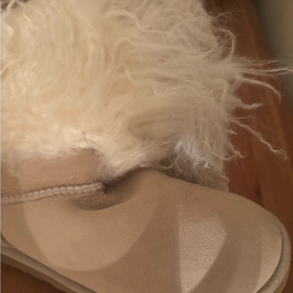 UGG Cream Fluffy Women's Shoes - Picture 5 of 5